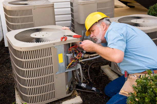Best HVAC Air Duct Cleaning  in De Pue, IL